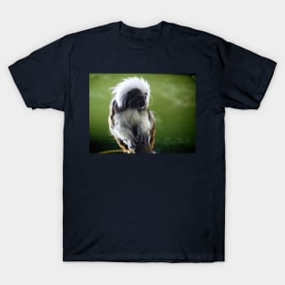 The Wise Looking Tamarin T-Shirt